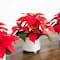 9" Artificial Poinsettia Arrangements in White Ceramic Pots, 3ct.